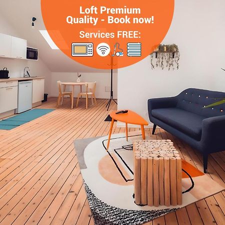 Loft Lumineux Tres Spacieux - Parking Gratuit Chateauroux Ngoại thất bức ảnh
